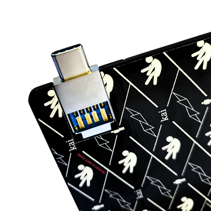 Kaigami USB-C/USB-2.0 BLACKS & FAST FOOD Flash Drive